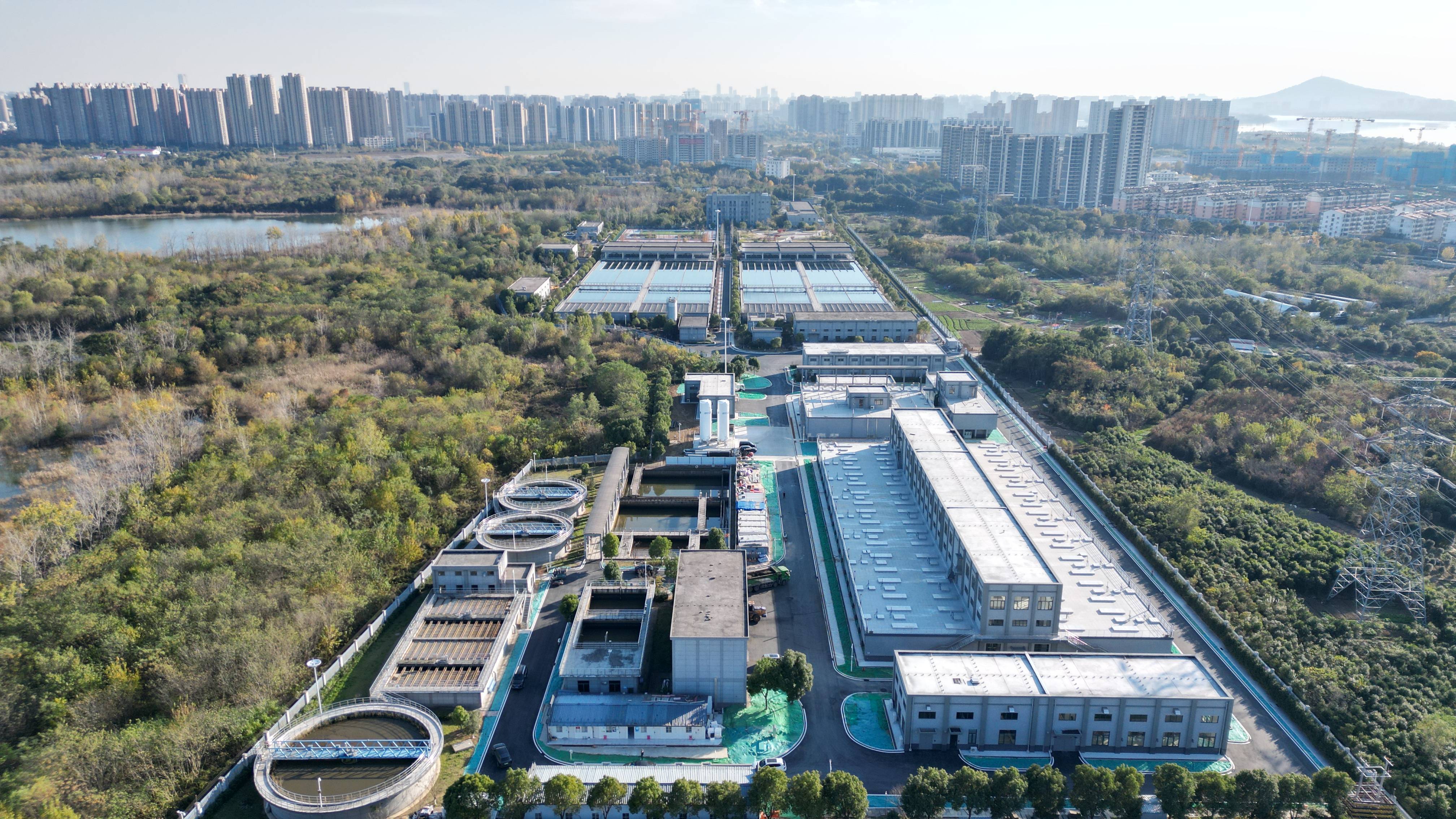 塔城市合肥专业企业价值增长(合肥市重点企业产业目录)