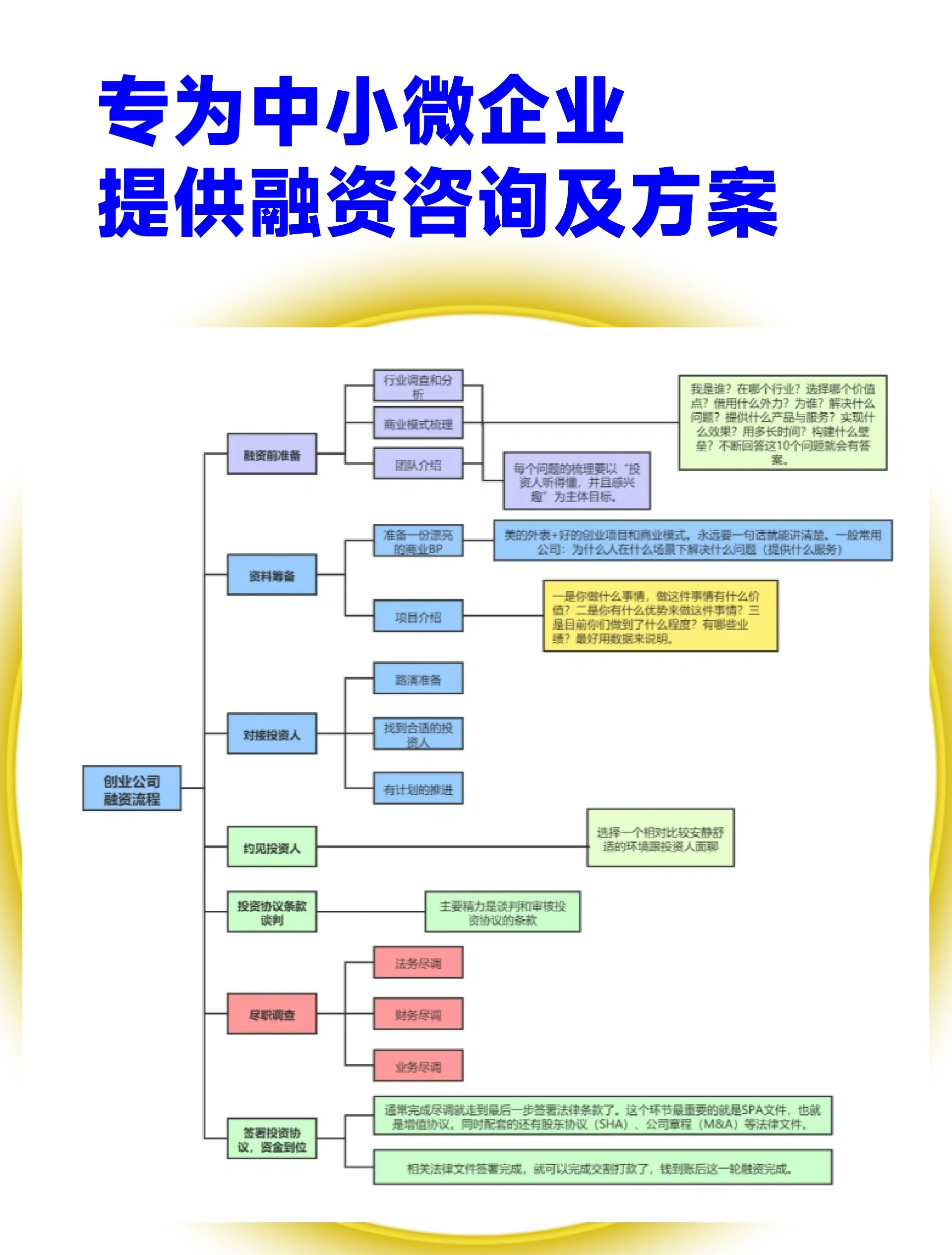 塔城市宠物企业资金管理(宠物管理机构叫什么)