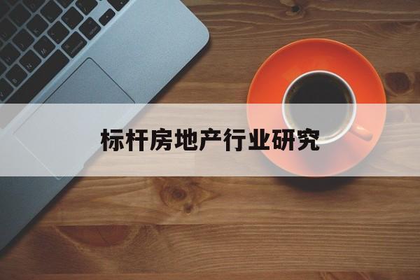 塔城市标杆房地产行业研究(房地产领域的标杆人物)