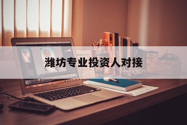 塔城市潍坊专业投资人对接(潍坊专业投资人对接中心)
