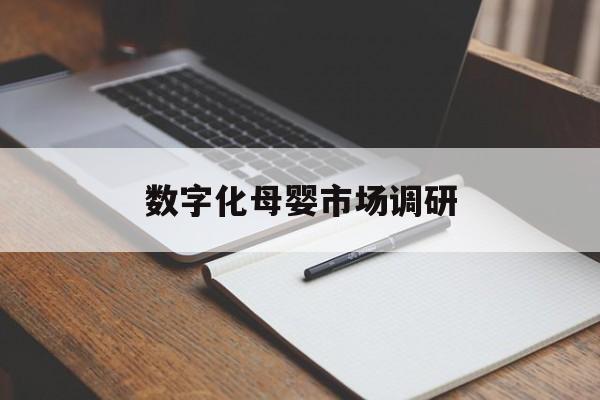 塔城市数字化母婴市场调研(数字化母婴市场调研报告)