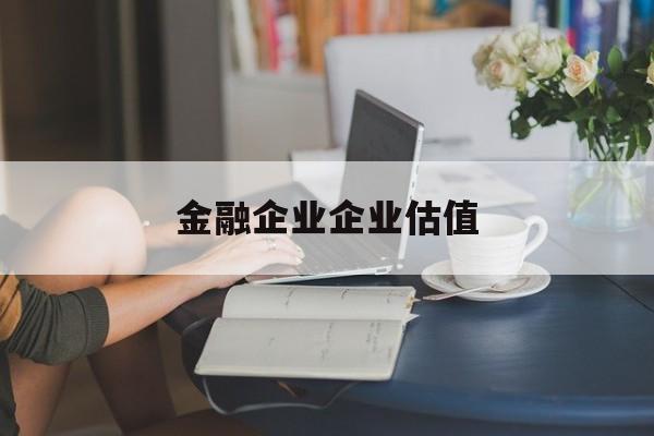 塔城市金融企业企业估值(最新企业估值怎么填)